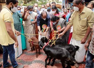 Model Animal Welfare Panchayat Project