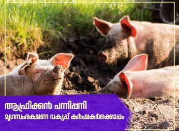 African Swine Flu - Department of Animal Husbandry with Farmers