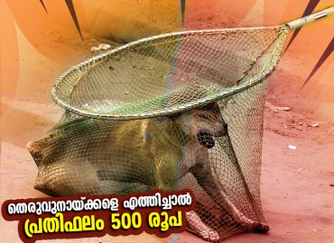 500 rupees reward for bringing stray dogs