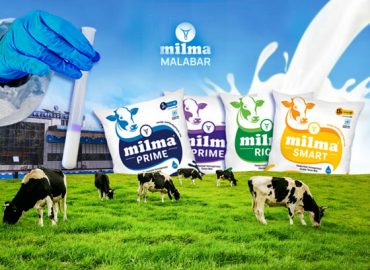 Dairy farmers of Malabar region produce the highest quality pure milk in the country