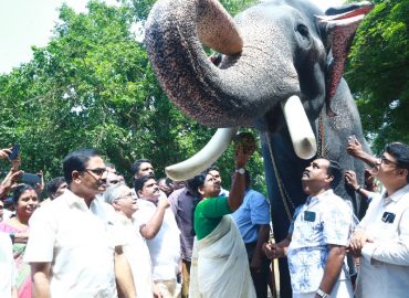 Devaswom Treats elephants