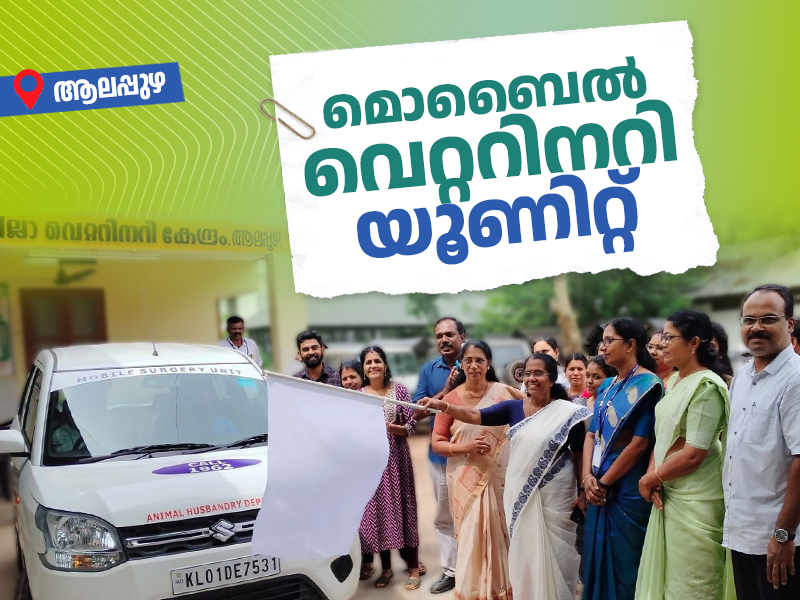 Animal surgery; Mobile veterinary unit set up in Alappuzha
