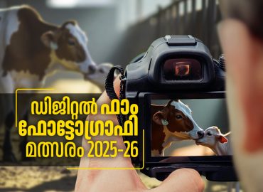 Digital Farm Photography Competition 2025 -26: Entries invited