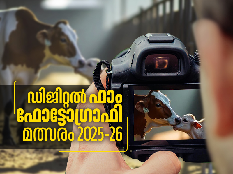 Digital Farm Photography Competition 2025 -26: Entries invited