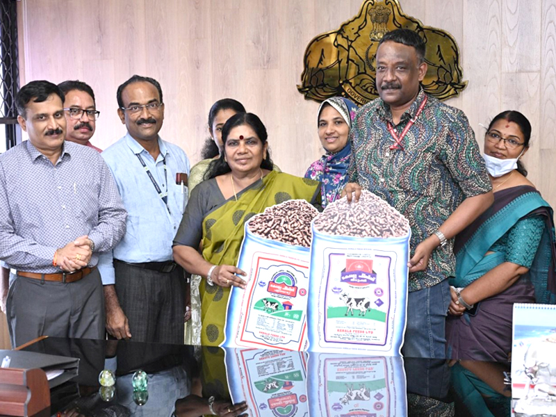 ക്ഷീരകർഷകർക്ക് ക്രിസ്തുമസ് സമ്മാനം: കേരള ഫീഡ്സ് ‘എലൈറ്റും’ ‘മിടുക്കിയും’ ഇനി പ്രത്യേക വിലക്കിഴിവോടുകൂടി 20 കിലോ പായ്ക്കറ്റുകളിലും